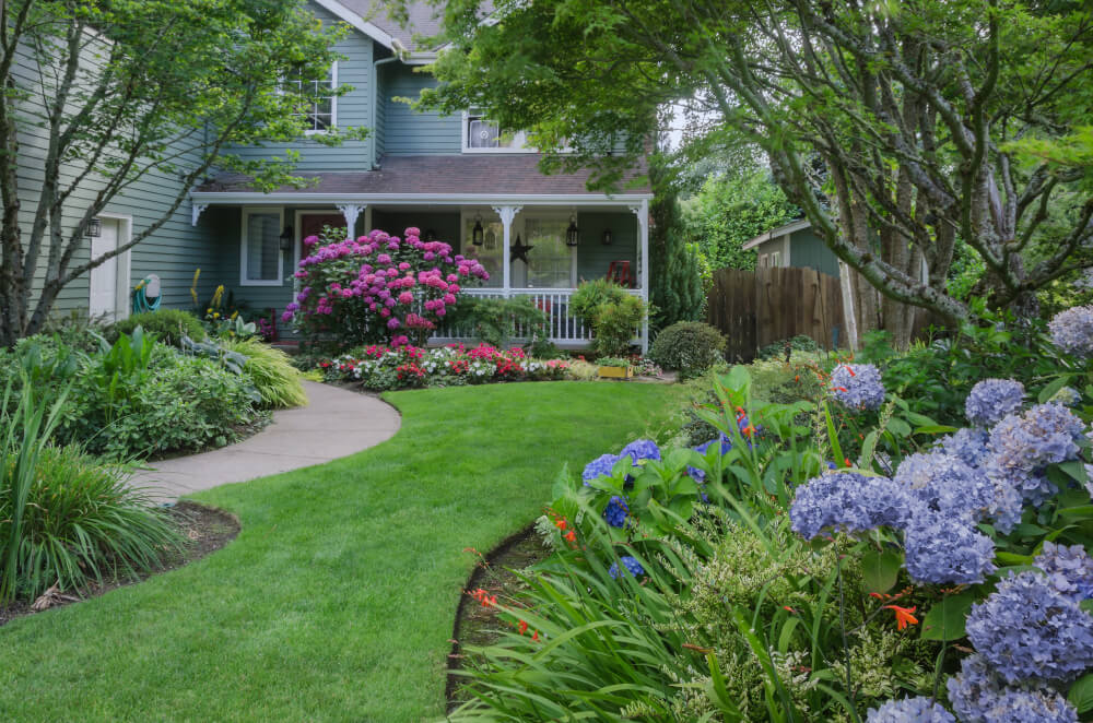 The Essentials of Landscaping. A Beginner’s Guide