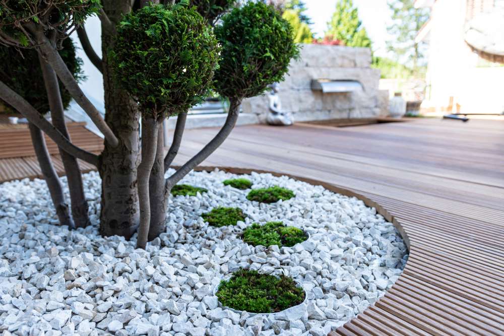 Sustainable Landscaping. Eco-Friendly Practices for Your Yard